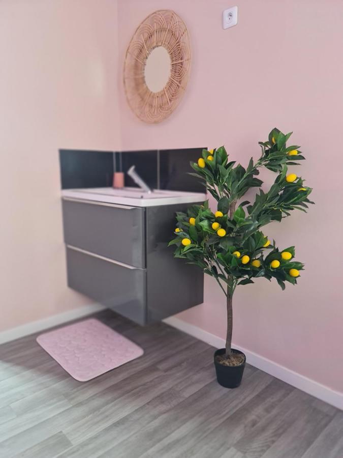 Ng Suitehome - Lille I Roubaix Centre I 121 - Pastel - Netflix - Wifi Extérieur photo